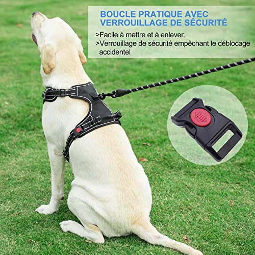 haapaw – Harnais anti-traction pour chien de taille moyenne et grande, réglable, en tissu Oxford réfléchissant, facile à contrôler, avec une laisse robuste gratuite - Image 5