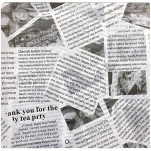 ϖ Hi 500 t[hCi[ ThCb`̕ݎ bNXy[p[V[g fV[g sNjbN o[K[ sU p SNf prHi (C,22 cm) [sAi]