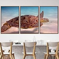 3 Piece Framed Canvas Wall Art Turtle Under The Surface Canvas Prints Home Artwork Decoration for Living Room,Bedroom - 16
