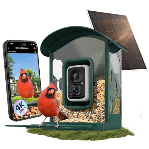 Humbirdy Bird Feeder With Camera