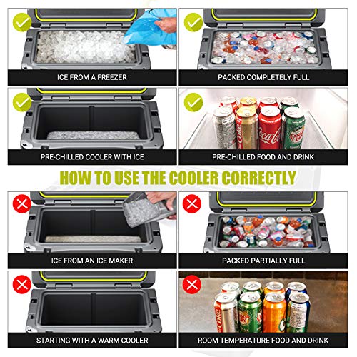 REYLEO Ice Chest | Portable Rotomolded Arctic Cooler Keeps Ice Up to 3 Days | Bear-Resistant 21-Quart Cooler (Built-in Bottle Opener, Cup Holder, Fish Ruler) for Camping, BBQs, Tailgating, Fishing