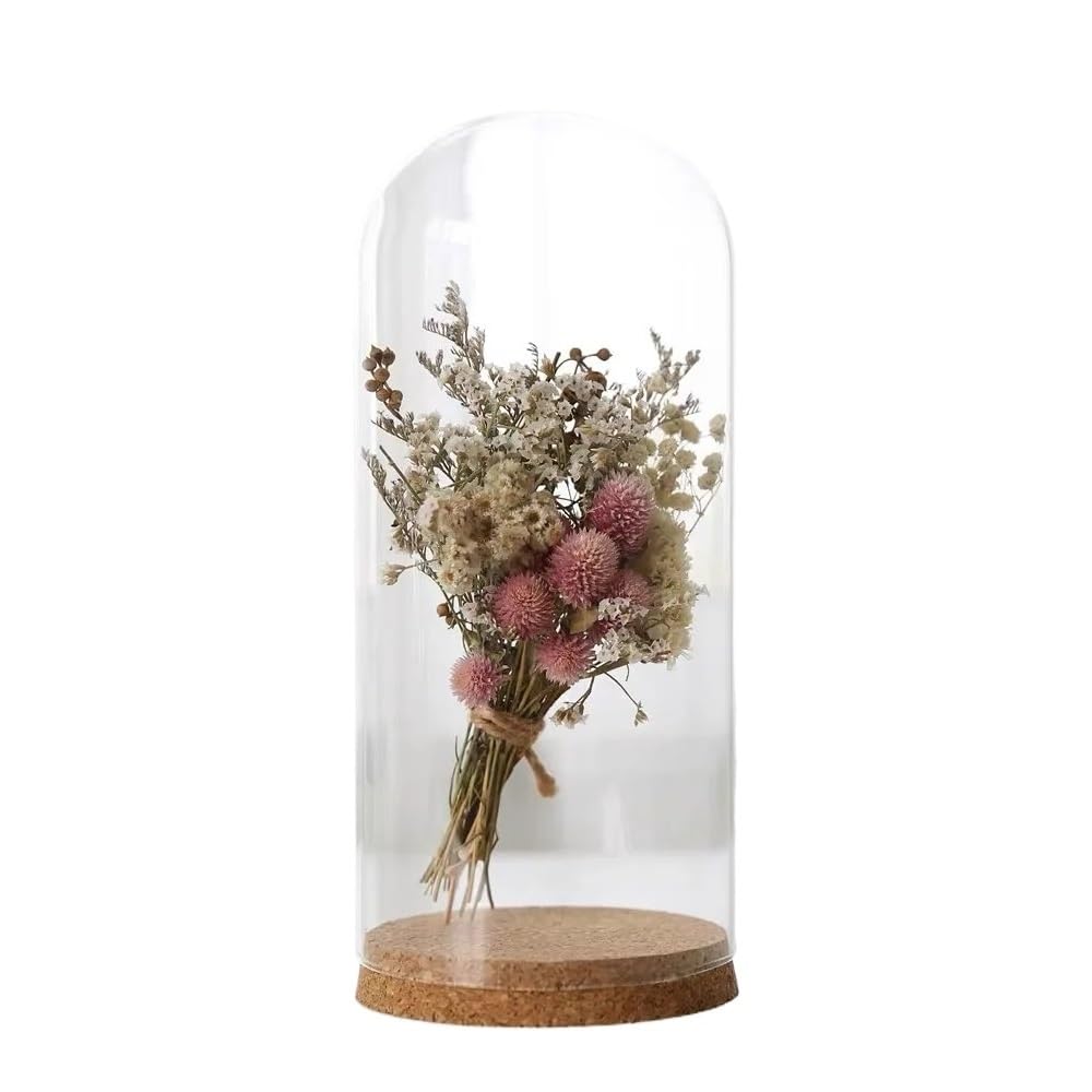 ZYAYNG 10PCS Clear Glass Dome Cover Cloche Bell Jars Toy Display Flower Succulent Terrariums With Cork Base Home Study Room Decor For Display(30x60mm)