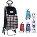 Carrello per la Spesa 6 Ruote sali Scale portaspesa Trolley Borsa Portata 75kg in Metallo Leggero e richiudibile