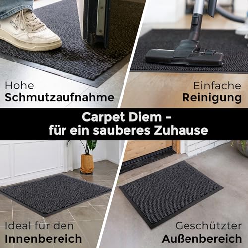 Carpet Diem Fußmatte, einfach sauber I Schmutzfangmatte Eingangsbereich - Fussmatte Innen & Außen, rutschfeste Türmatte, Schmutzfang Teppich für Haustür I Fußabtreter in Anthrazit-Schwarz 40x60 cm