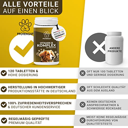 PFOTENGUT® Vitamin B Komplex Hund [Made in Germany] - 120 Tabletten für 4 Monate - Hochdosierte B Vitamine für Hunde & Katzen mit B1, B2, B3, B5, B6, B7, B9 & B12 - Vitamin B für Hunde