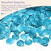 MECCANIXITY 50 Gram Loose Sequins 18mm Seashell Sequins and Spangles with 2 Holes for Earrings Clothing Embroidery Sewing DIY Art Crafts Supplies, Laser Lake Blue #2
