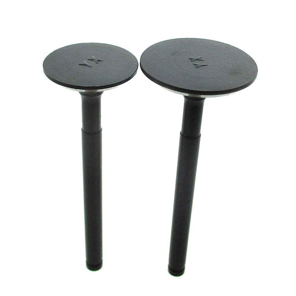 Valvole di scarico dell'ingresso di 23mm 28mm per bici della sporcizia del pozzo di YX 150cc 160cc
