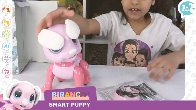 Amazon.com: BIRANCO. Remote Control Dog Gesture Sensing - Smart