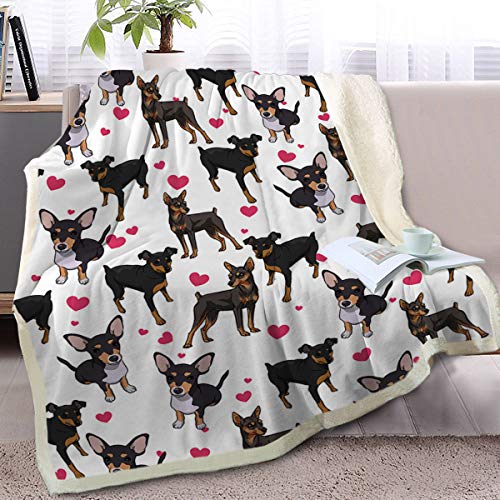 BlessLiving Red Hearts Dog Cat Print Blanket Twin Plush