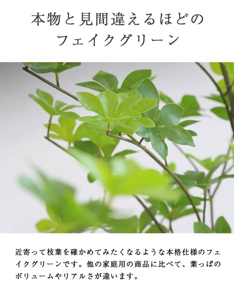 Amazon｜DEPOS デポス フェイクグリーン ドウダンツツジ 182cm 観葉 