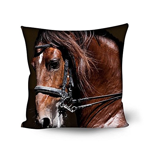 46 Zweiersofa G nstig Images