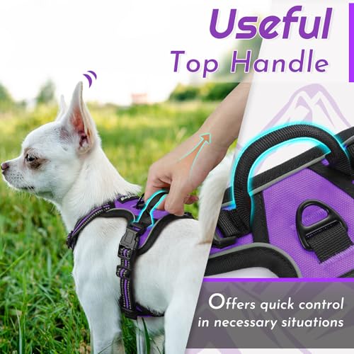 Image of Eagloo Dog Harness for Small Dogs, No Pull Pet Vest with 2 Leash Clips