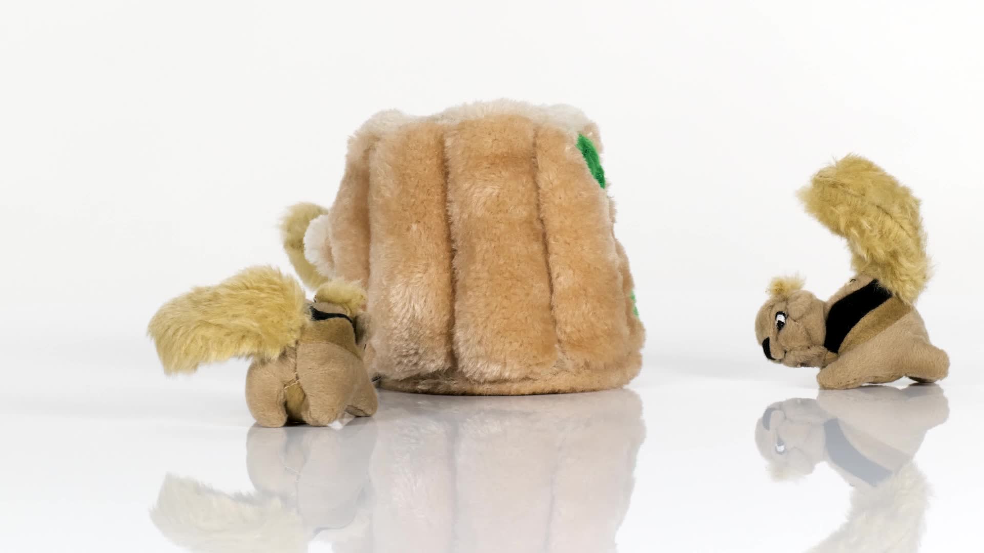 amazon hide a squirrel