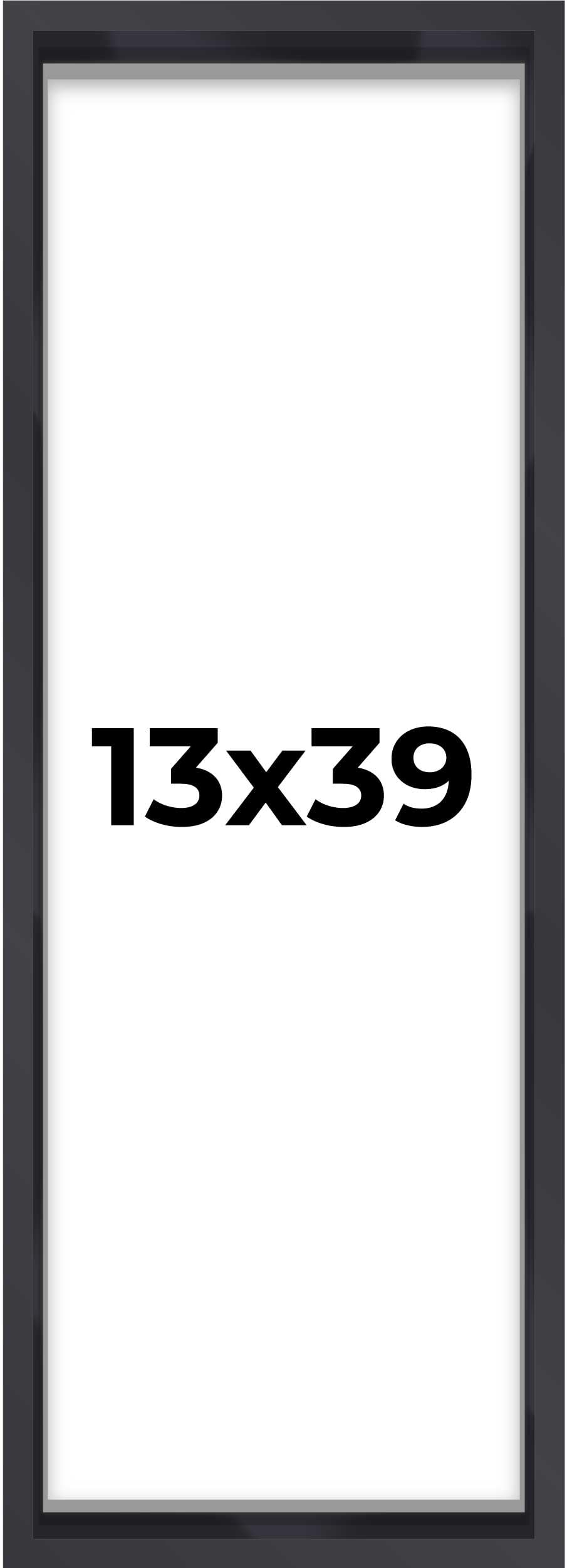 Poster Palooza 13x39 Shadow Box Frame