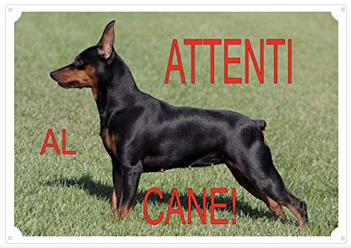 Cartello Targa "ATTENTI AL CANE" da Cancello PINCHER cm 30 x 21,5