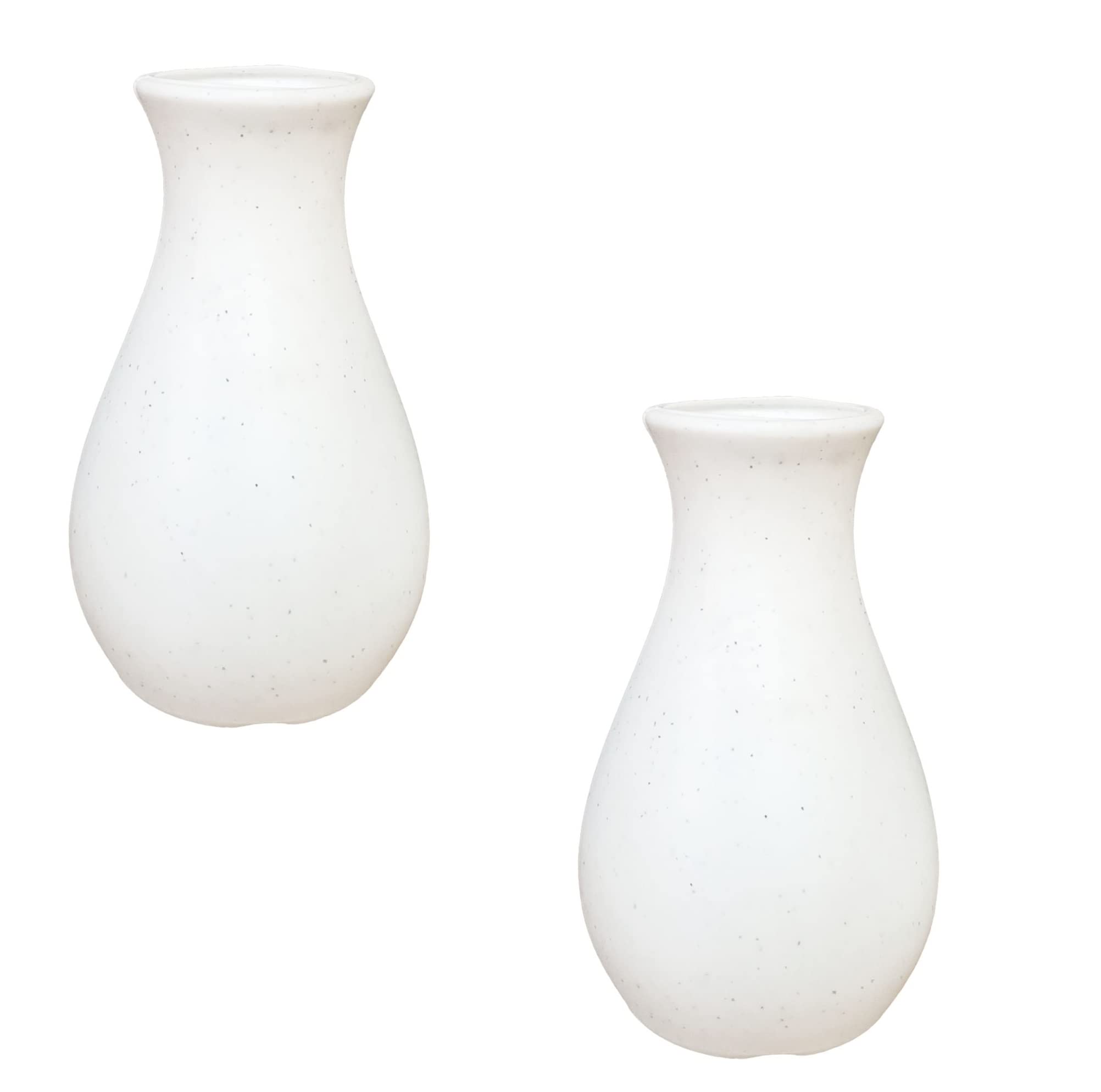 Gardens Need Decorative Designer Lucky Flower Vase or Flower Holder for Home Decor Table top Size 6 INCH , White , Set of 2 , Best for Gift Also.(Plastic) (B0BPSMYLHX) Amazon Price History, Amazon Price Tracker