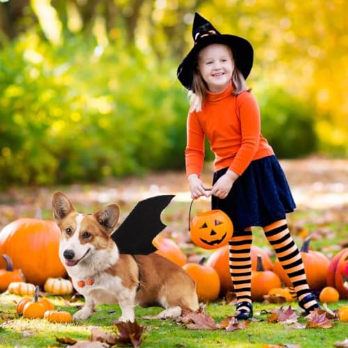 Fledermausflügel Hund,Halloween Fledermaus Hundekostüm,Hund Fledermausflügel mit Kürbisglocke,Einstellbar Hunds Fledermaus Flügel,Cosplay Dekoration Halloween Haustier Kostüm L
