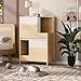 TERRUPEX Modern 2-in-1 Cat Furniture, Cat Litter Box Enclosure & Side Table with Cozy Cat House, All-in-One Space Saving Solution for 2 Small Medium Cats, Hidden Litter Box Cabinet with Storage