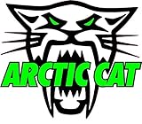 Arctic Cat Version 2 Decal 5