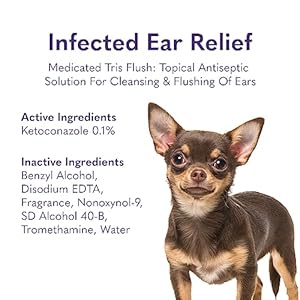 Mysimplepetlab Dog Ear Infection Relief | Ear Medicine for Dogs | Medicated Tris Flush Dog Ear Infection Relief  Cucciolini Doodles Mysimplepetlab dog ear infection relief | ear medicine for dogs | medicated tris flush dog ear infection relief   cucciolini doodles