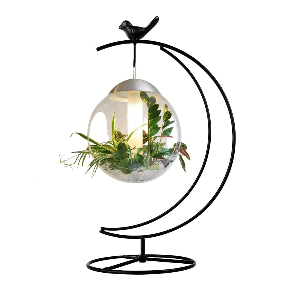 Fosinz Supporto Appendibile In Ferro Per Terrari E Decorazioni - Porta Globo Di Vetro Per Casa, Natale, Matrimoni