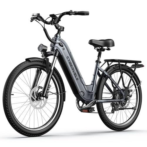 YorkE 1000W Peak Electric Bike for Adult,48V 25AH(1200WH) 26" Ebike,