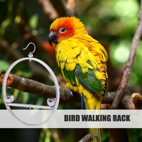 Support de perchoirs pour oiseaux en acier inoxydable durable suspendu