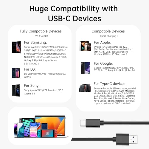 Image of LDLrui 10FT USB A to USB C Cable 1Pack | USB to USB C Data Cable with 60W 20V /3A Fast Charging & Sync for Laptop, iPhone, Samsung Galaxy, Webcam and Car