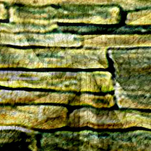 Couverture flanelle forêt de bambous plaid canapé pour vos soirées cocooning