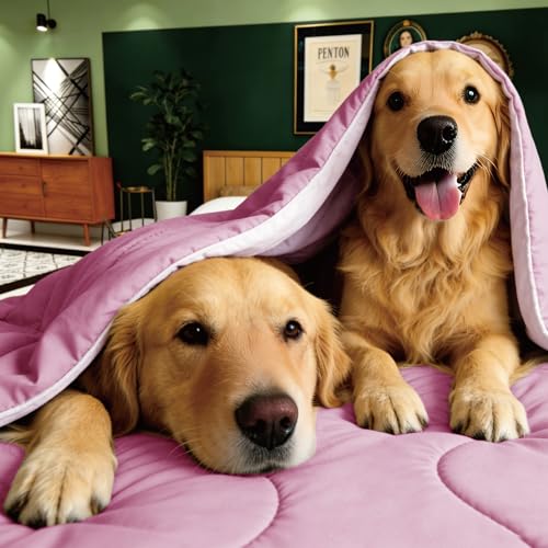 Image of Seward Park Cooling Comforter Full /Queen, All Season Reversible Cooling Blanket for Night Sweats, Cold Touch Fabric for Hot Sleepers, Breathable Lightweight for Summer, Lavender /Pink, 86x92 Inches