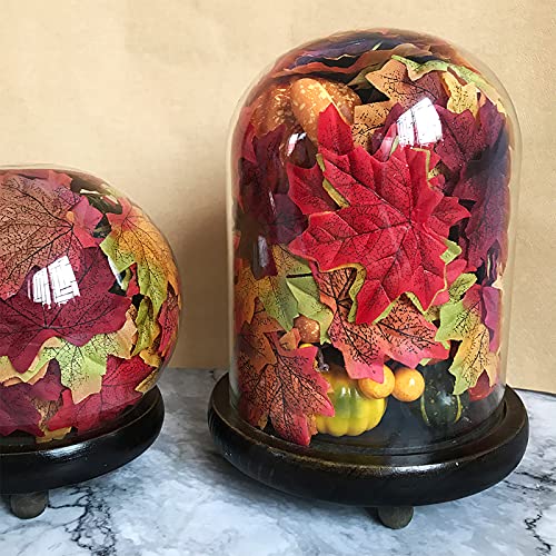 Supla 500 Pcs 10 Colors Assorted Fake Silk Autumn Maple Leaves Bulk Artificial Fall Leaf Foliage 3.15" L X 3.15" W For Thanksgiving Table Door Fall Wedding Party Birthday Baby Shower Decorations #TOP4