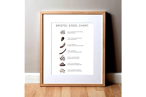 Bristol Stool Chart Watercolor Print: A Colorful Guide to Digestive Health