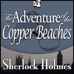 Sherlock Holmes Audiobook By Arthur Conan Doyle cover art