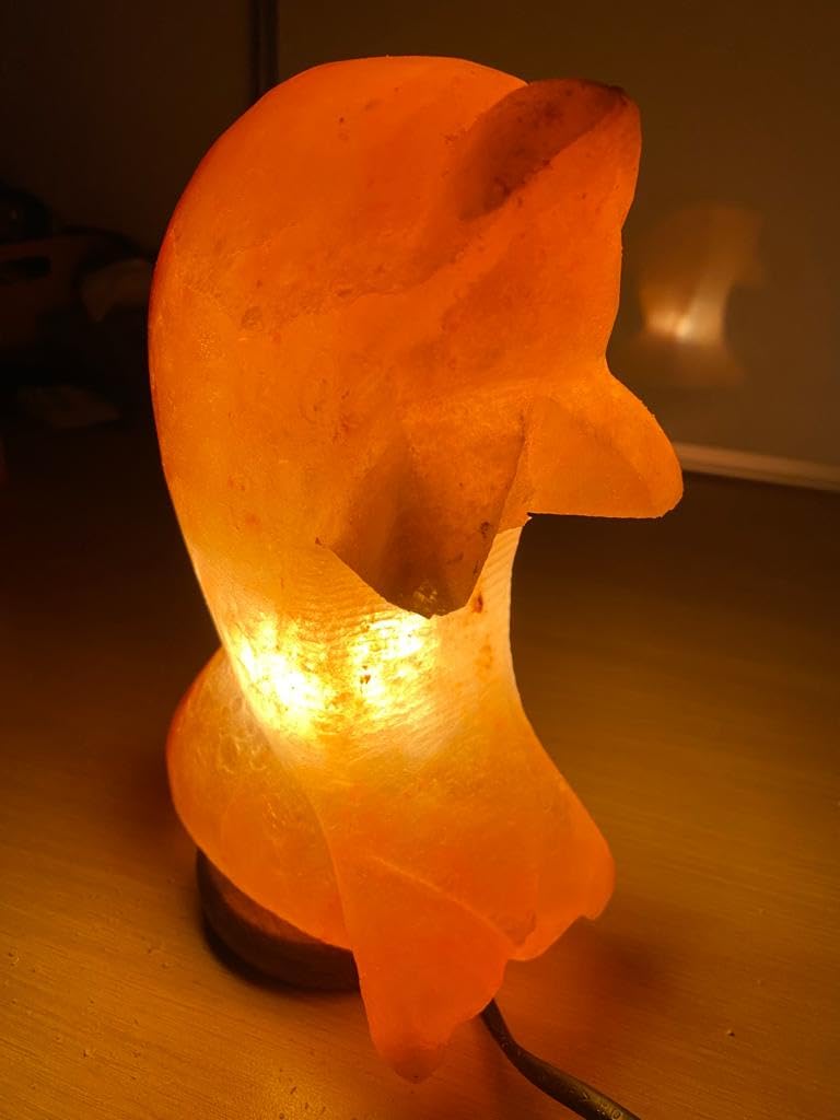 Elkoza Dolphin Salt Lamps Handmade Wood Silhouette Natural Healing IONES Therapeutic 100% Pure Himalayan Pink Crystal Salt Lamp Fine Quality (Dolphin Salt Lamp Himalayan)
