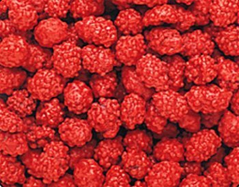 French Burnt Peanuts: 5 LBS by Sconza