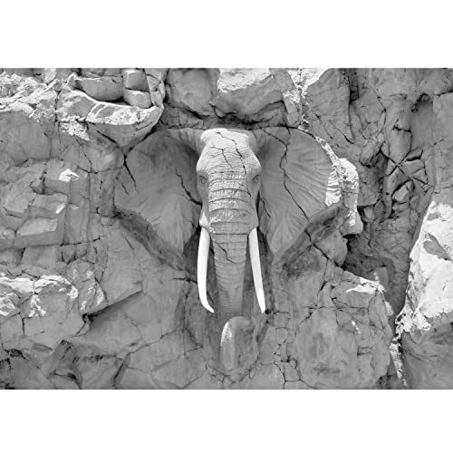 Runa Art Papel tapiz fotográfico elefante de África 352 x 250 cm Lana Fondo De Pantalla XXL Moderna Decoración De Pared Sala Cuarto Oficina Salón Negro y blanco 9398011c