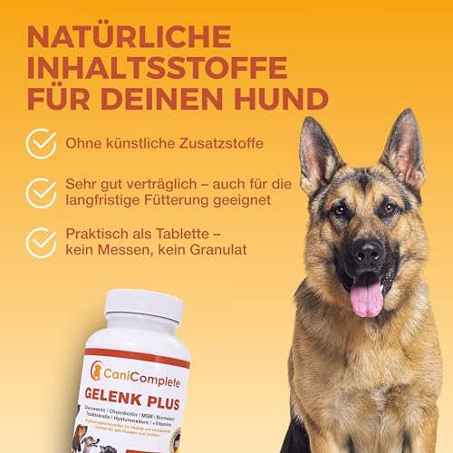 CaniComplete Gelenk Plus - Gelenktabletten für Hunde: Teufelskralle, MSM, Chondroitin, Glucosamin, Kollagen, Vitamin B, UVM.