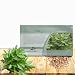 Outsidepride Lovage - 1000 Seeds