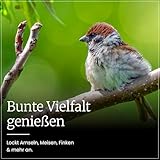 Erdtmanns Streufutter für Wildvögel – Futtermischung mit Sonnenblumenkernen, Hirse & Getreide – energiereiches Vogelfutter für Ganzjahresfütterung – für Garten, Balkon & Futterhaus (10 kg)
