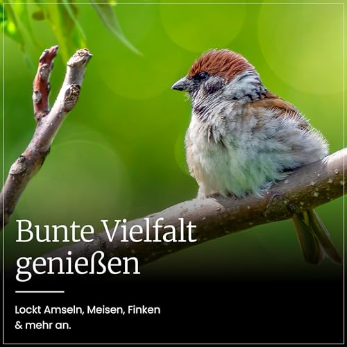 Erdtmanns Streufutter für Wildvögel – Futtermischung mit Sonnenblumenkernen, Hirse & Getreide – energiereiches Vogelfutter für Ganzjahresfütterung – für Garten, Balkon & Futterhaus (10 kg)