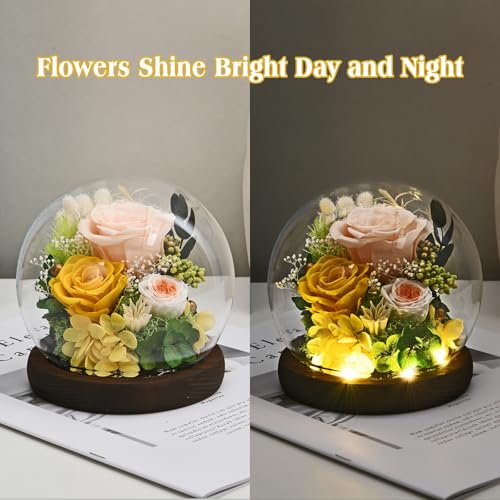 Rosa con luces LED y cúpula de vidrio brillante para obsequiar a tu esposa o pareja 5