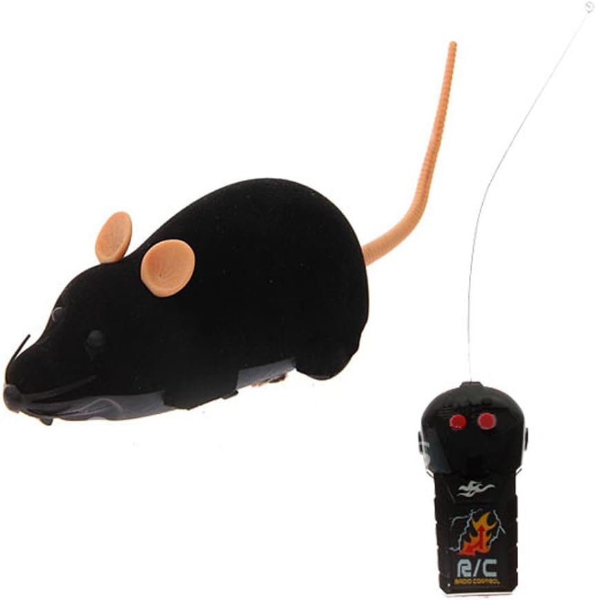 radio controlled mouse
