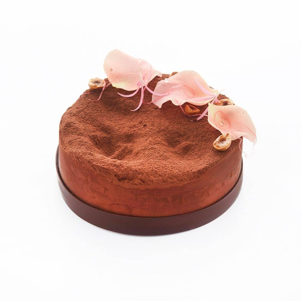 Callebaut Signature Collection Botanical Décor Cacao en polvo alcalizado 20-22% grasa hidrofóbico 1 kg