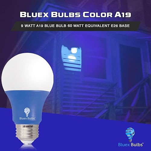 Vista 3 de BlueX - Paquete de 2 bombillas LED A19 (9 W, equivalente a 60 W), base E26, luz azul, decoración de fiestas, porche, iluminación del hogar