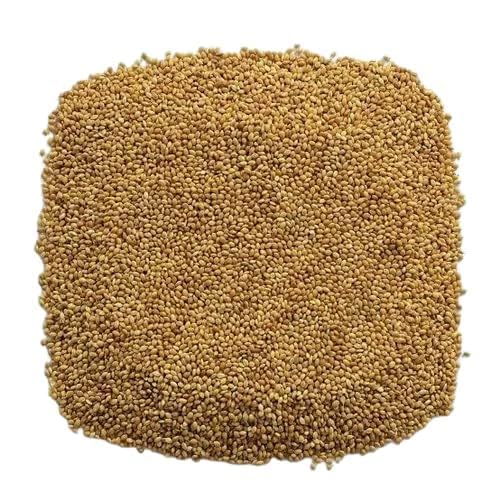 Premium Veganic Foxtail Millet Bird Food - Ideal for Canaries, Finches, Budgies, and More | Nutrient-Rich Kangni Seed Mix (B0CM447ZG4) Amazon Price History, Amazon Price Tracker
