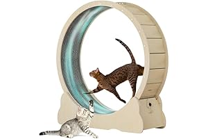 Cat Exercise Wheel Large 39.3" for Indoor Cats, Cat Running Wheel with...
