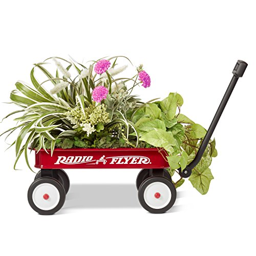 Radio Flyer Mini Classic Red Wagon for Kids, 16.5" Toy Wagon For Kids Aged 1.5+, Play-Size Version of the Classic, Durable Rolling Wheels & Steel Body, Working Handle, For Toys, Crafts & Gift Displays by Radio Flyer - Image 7