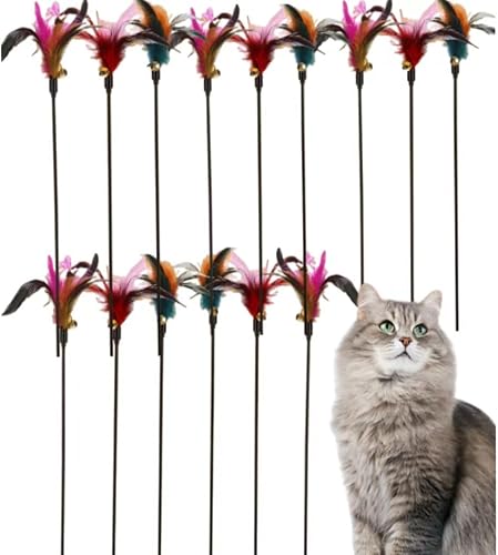 Paquete de 15 juguetes de plumas para gatos y varita teaser, juguetes de plumas para gatos, juguetes de plumas para gatos, juguetes para gatos de