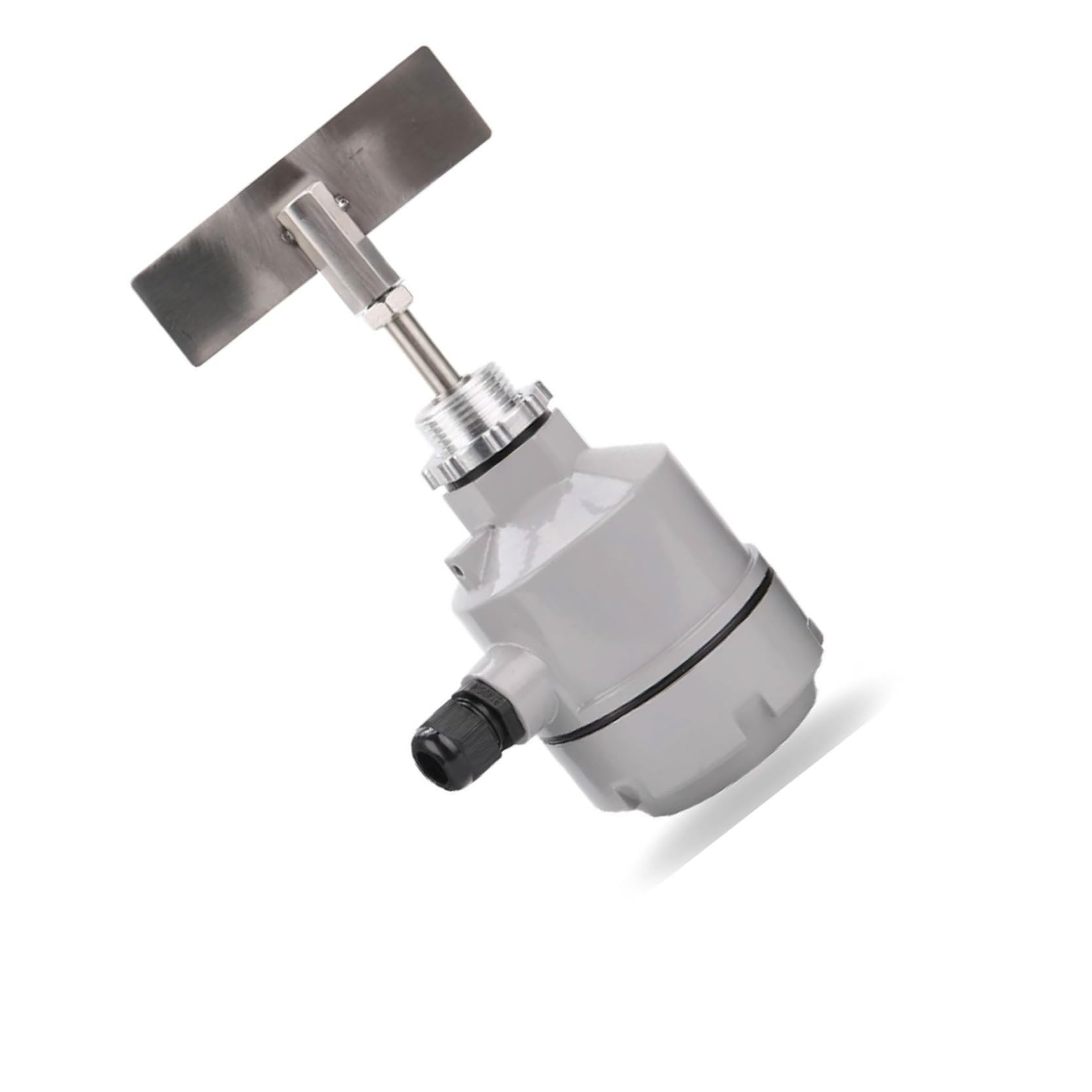 Drehpaddel-Füllstandschalter – 24 V, 110 V, 220 V, Pulvertrichter, Silobehälter-Sensor for Feststoff-Massenanzeige(Flange Type DC24V)