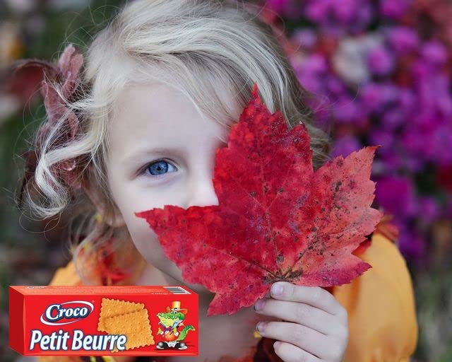 Image of Croco Petit Beure Crackers 100G | Bagel chips | Pretzels | Snacks | Premium Baked crackers | Imported snacks (Petit Beure)